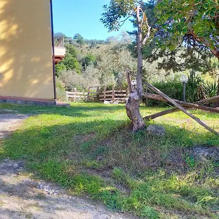 Belvedere Del Farinaio Holiday home Cortona
